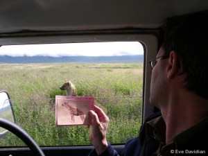 Identifikation mittels ID-Karte