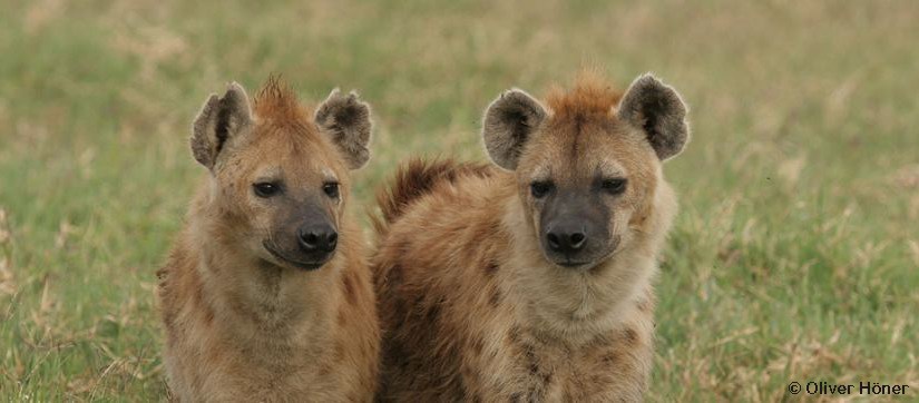 Willkommen - Titelfoto
