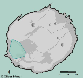 Forest - Nachtschwärmer