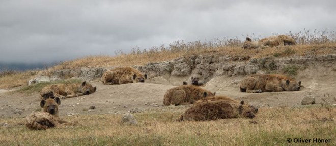 Triangle - Grenzgänger